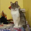 Отзыв от Любовь Колесникова
